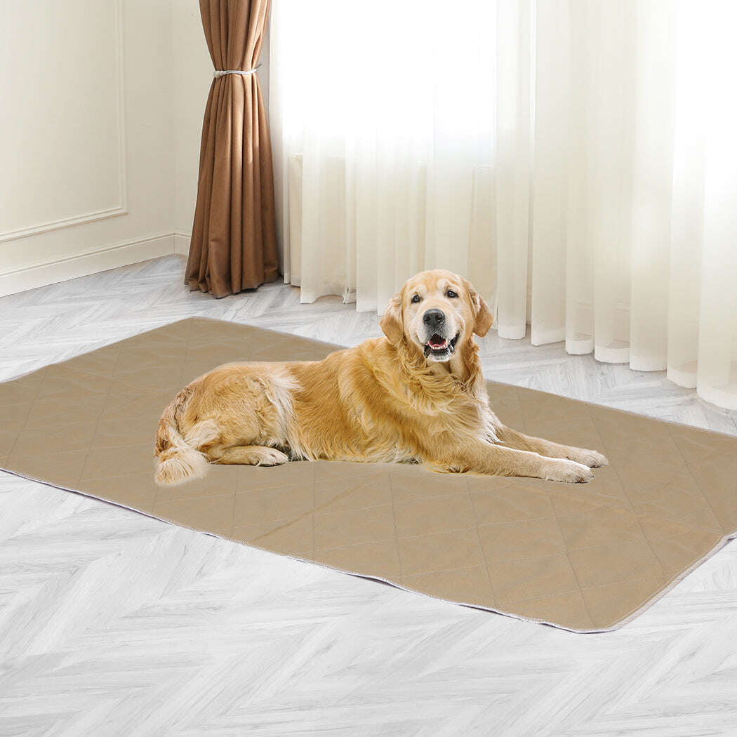 PaWz 2 Pcs 120x120 cm Reusable Waterproof JUMBO-1910112998886871046
