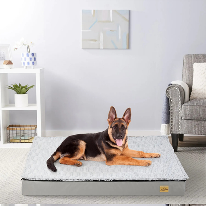 Gray Orthopedic Pet Calming Bed Soft Sponge Foam Base with Removable Cover