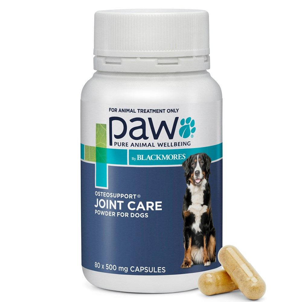 Paw Osteo Support Dog by Blackmores - 80 Capsules