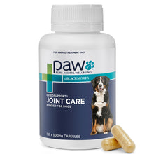 Paw Osteo Support Dog by Blackmores - 150 Caps