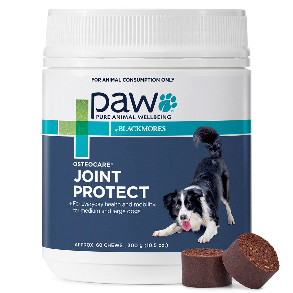 Paw Osteo Care Chews Joint Protect (Blackmores) 300g