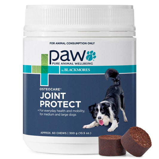 Paw Osteo Care Chews Joint Protect (Blackmores) 300g