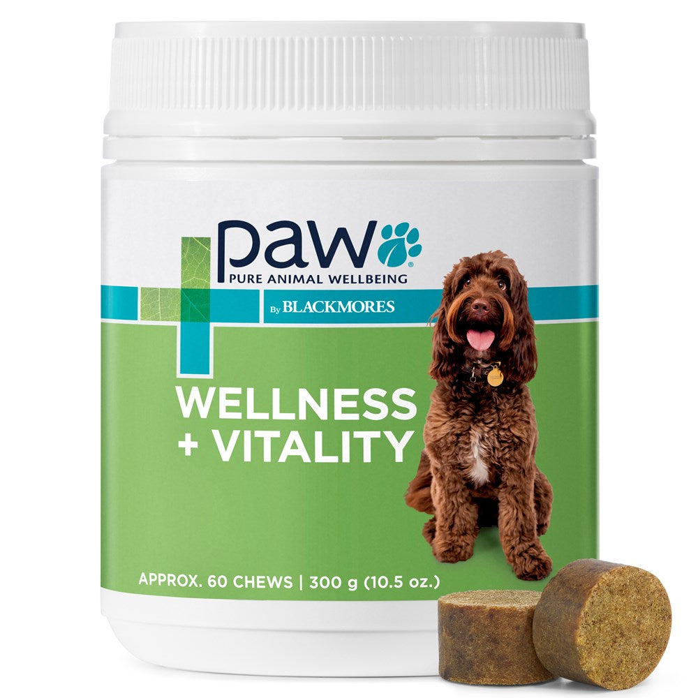 Paw Wellness + Vitality Chews (Blackmores) 300gm