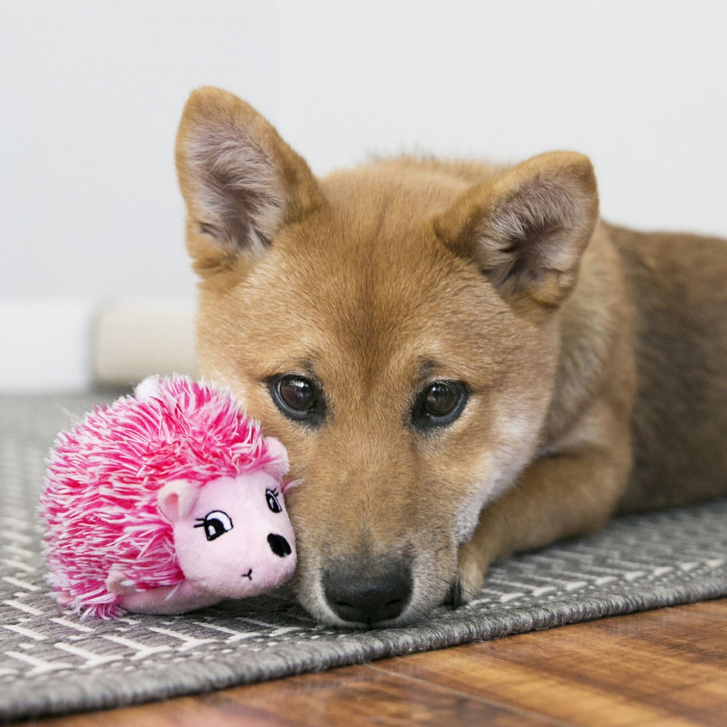 KONG Puppy Comfort HedgeHug