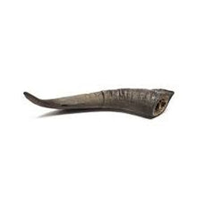 Bark & Beyond Medium Goat Horns 20-25cm
