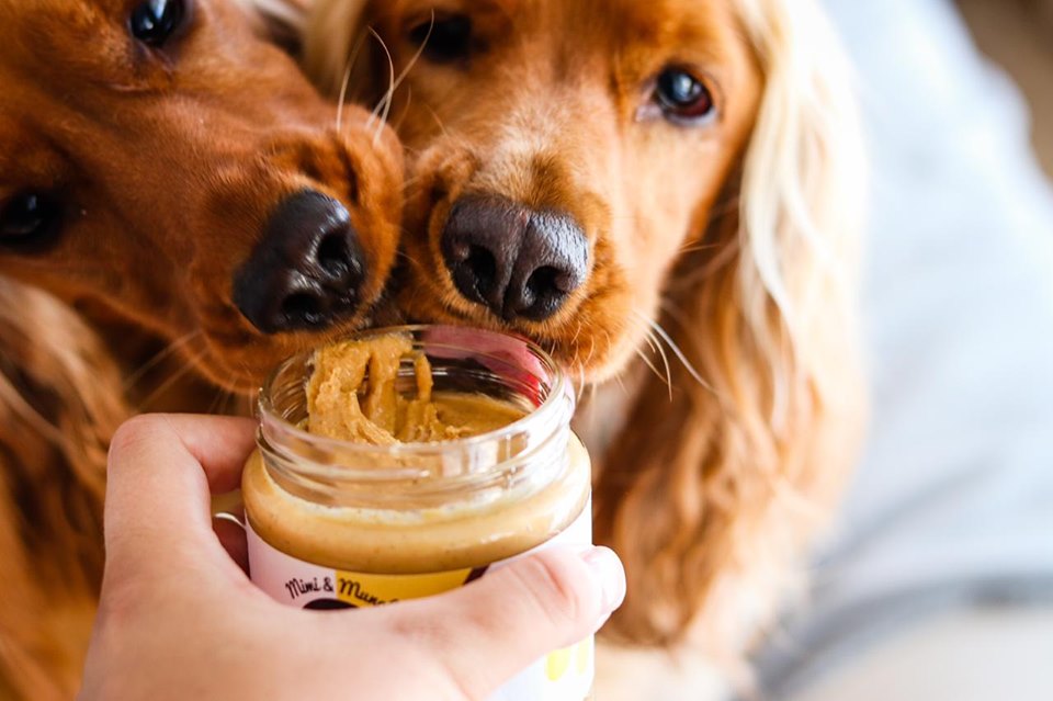 Bambi's Butter Natural Dog Peanut Butter