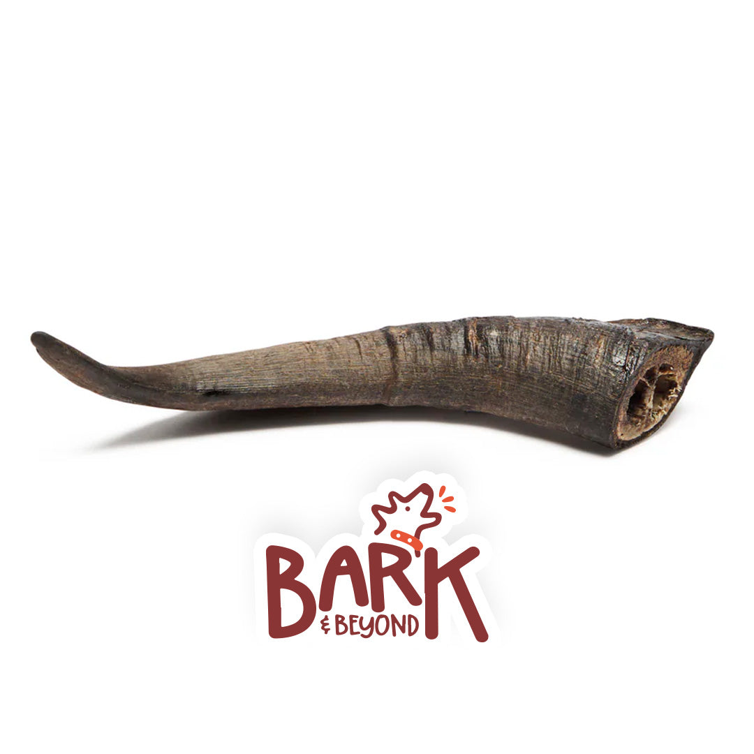 Bark & Beyond Medium Goat Horns 20-25cm