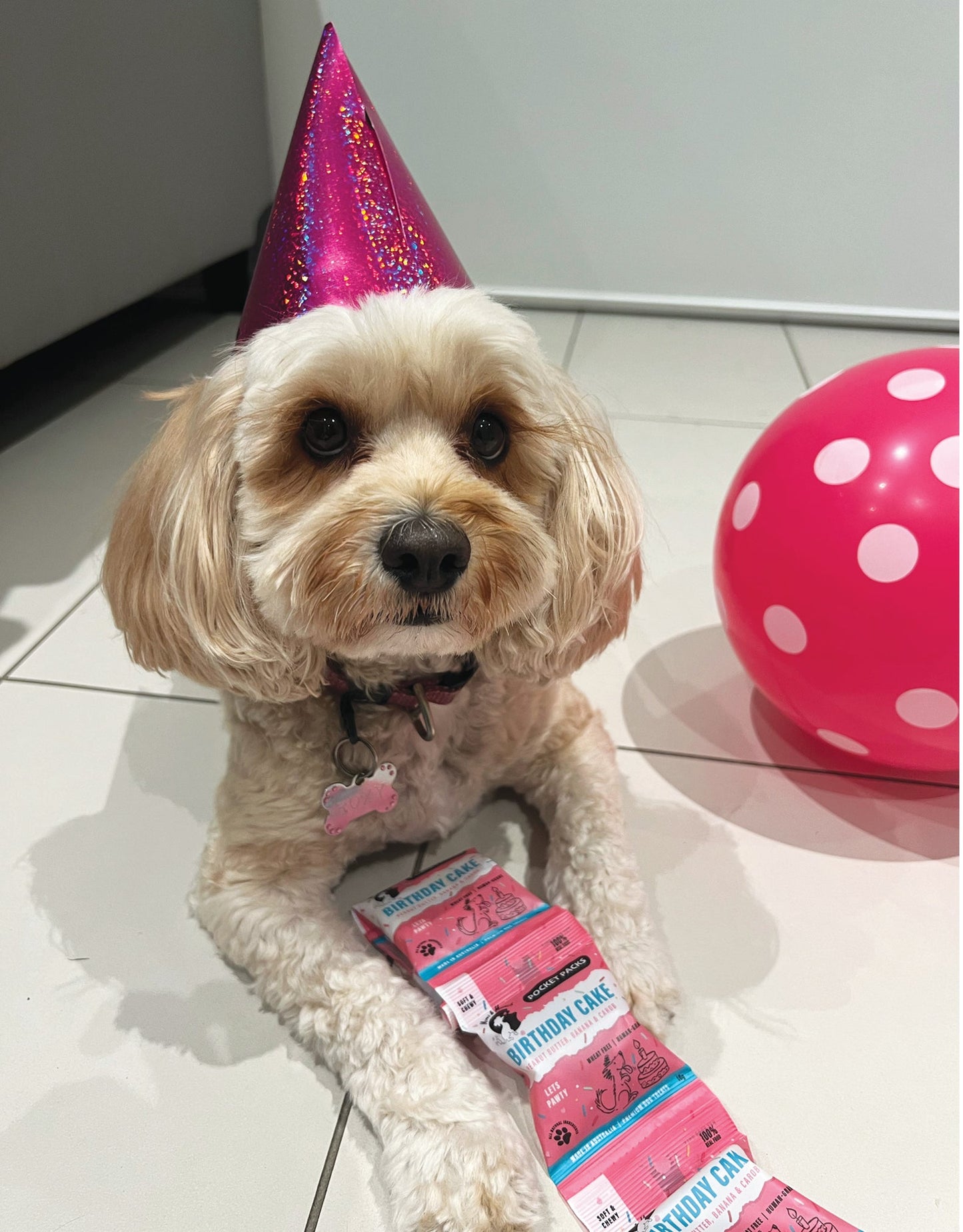 Birthday Cake Soft & Chewy  Natural Dog Treats - Pocket Packs (5 Mini Packs)