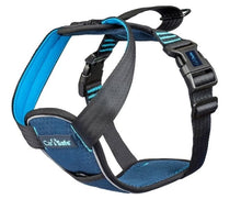 Carsafe Crash Tested Dog Harness Blue XSmall
