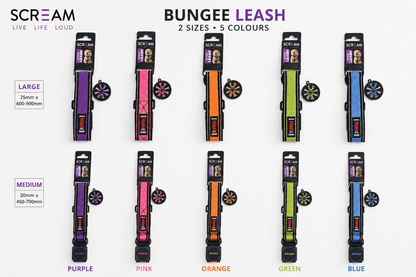 Scream Reflective Bungee Leash with Padded Handle