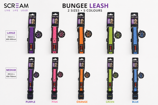 Scream Reflective Bungee Leash with Padded Handle