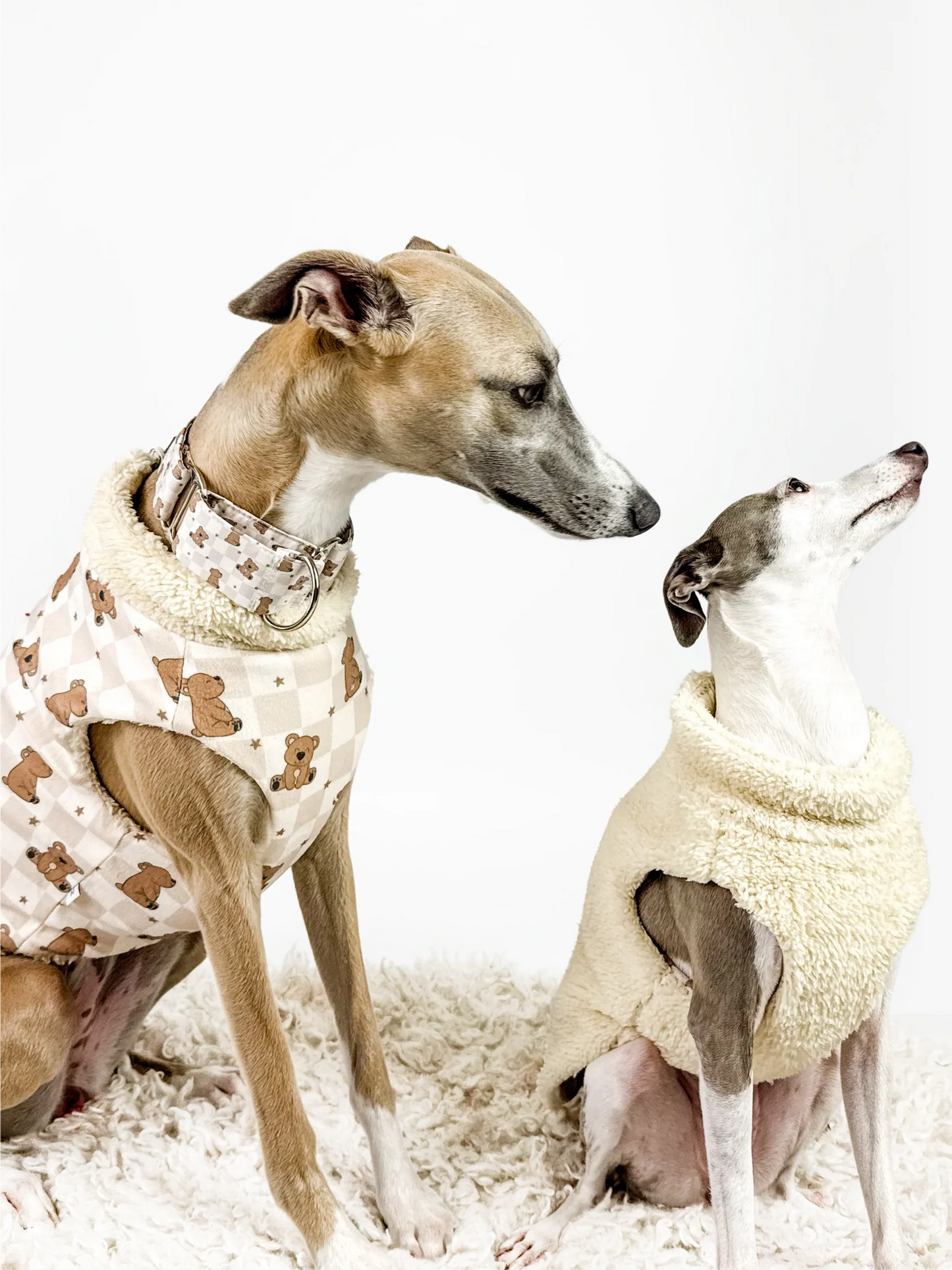 Hugs N Teddies: Zipper Sweater Coat