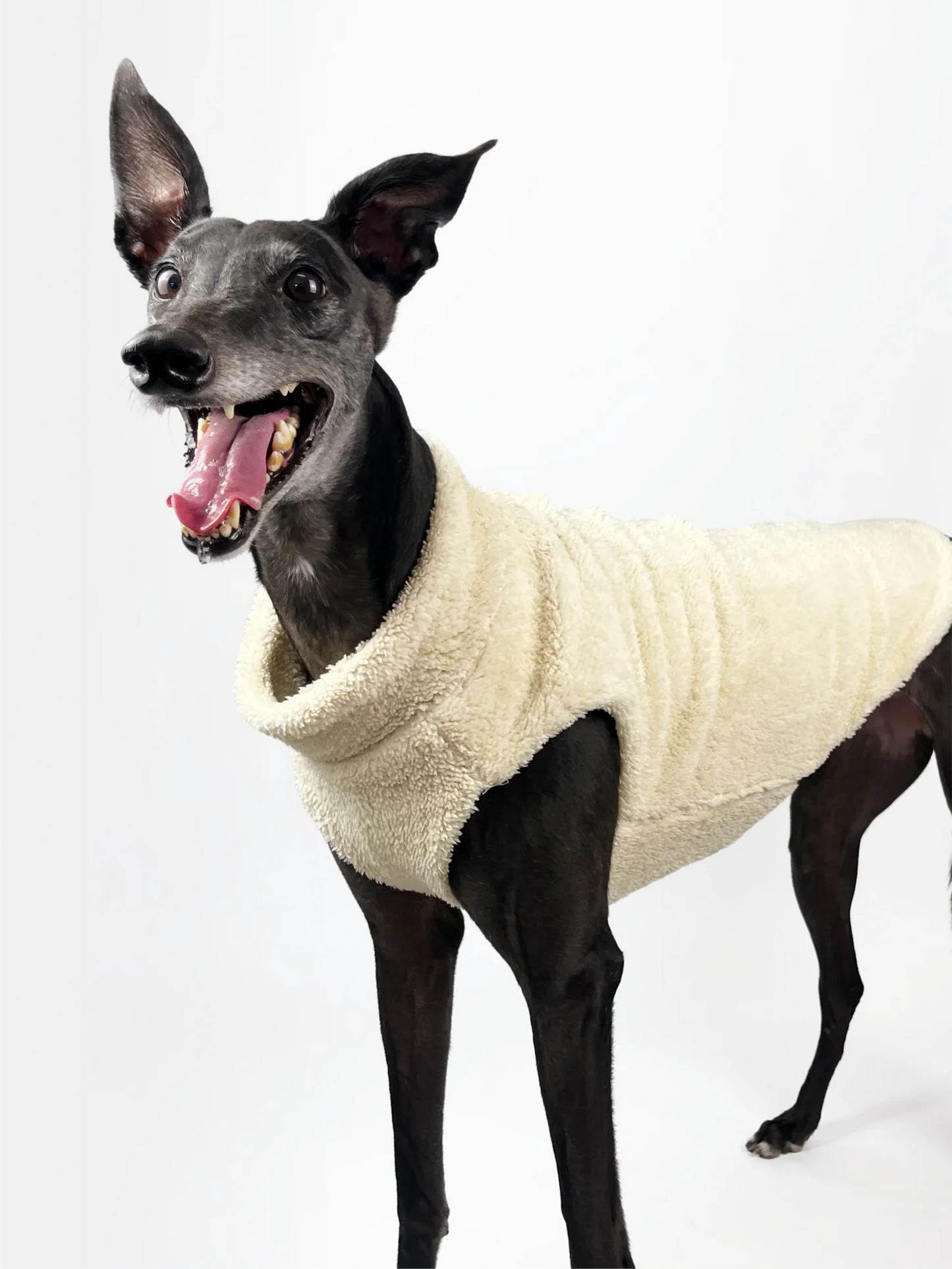 Hugs N Teddies: Zipper Sweater Coat
