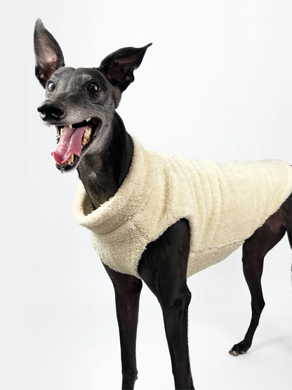 Hugs N Teddies: Zipper Sweater Coat