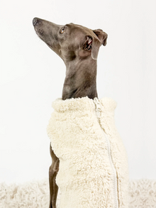 Hugs N Teddies: Zipper Sweater Coat