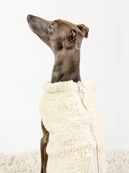 Hugs N Teddies: Zipper Sweater Coat