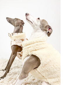 Hugs N Teddies: Zipper Sweater Coat