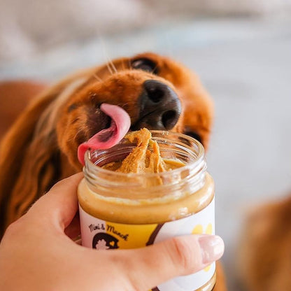 Bambi's Butter Natural Dog Peanut Butter