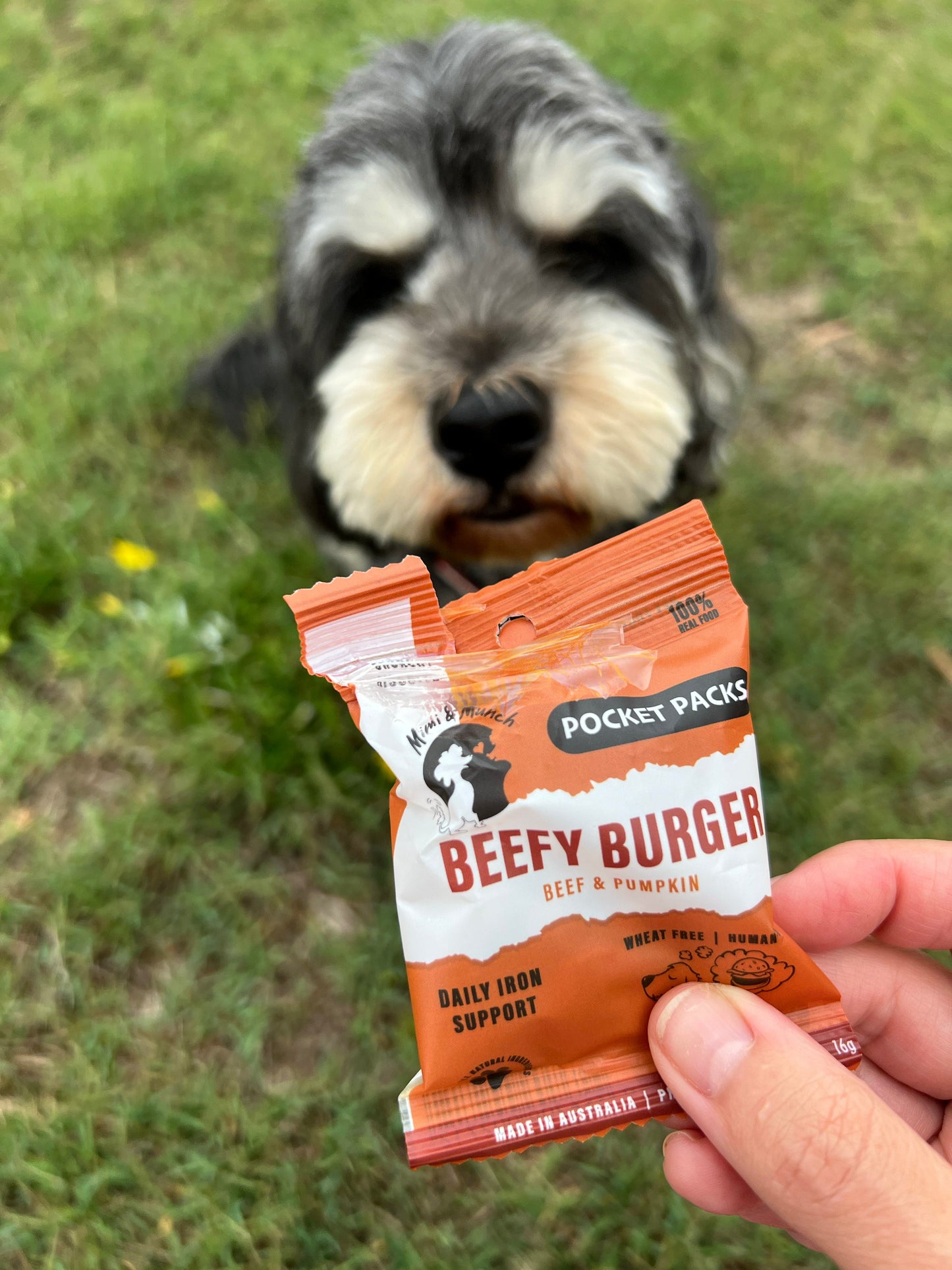 Beefy Burger Natural Dog Treats - Pocket Packs (5 Mini Packs)