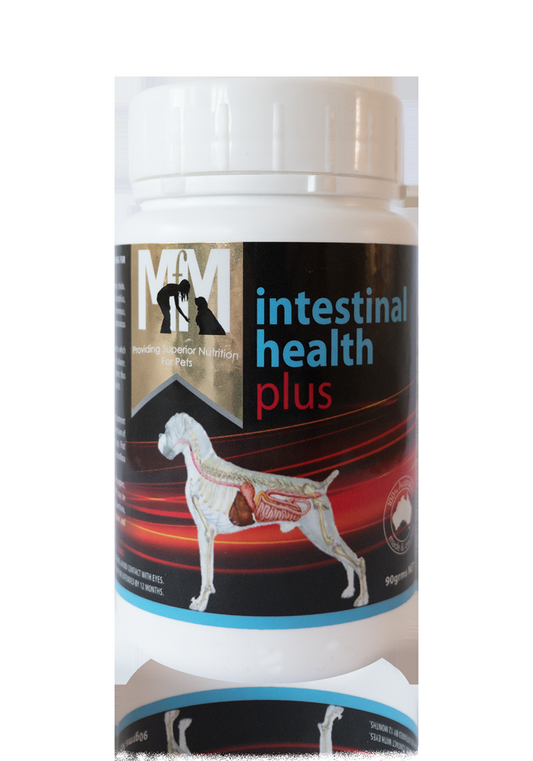 Meals for Mutts Dog Intestinal Health Plus Probiotic 90g