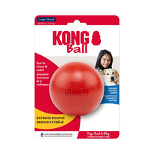 KONG Dog Ball with Hole - Large (KBX)