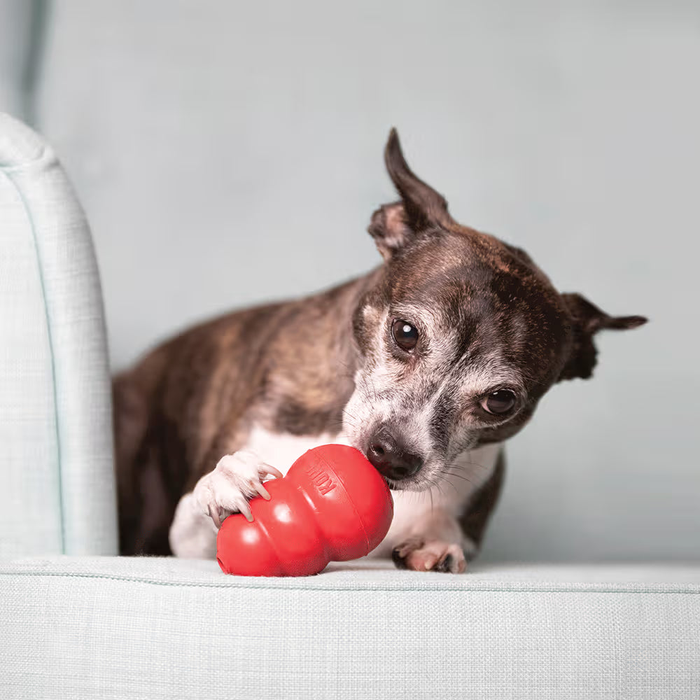 KONG Dog Classic