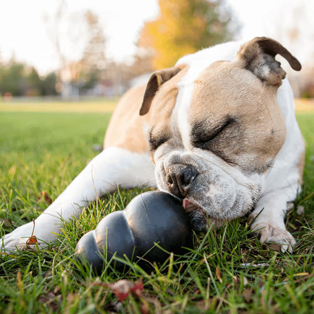 KONG Dog Extreme (Black)