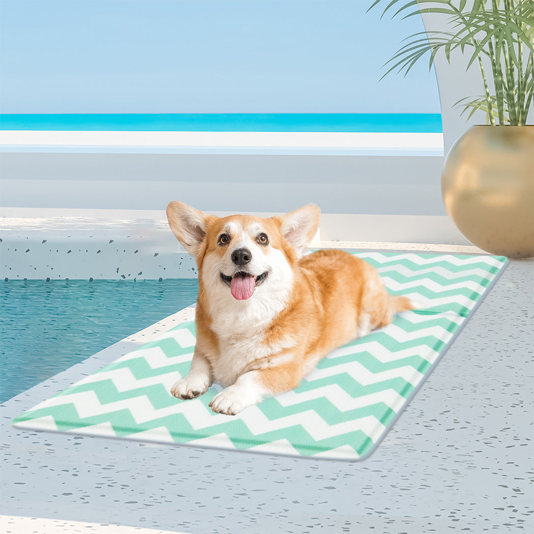 Pawz Pet Cooling Mat M Green-1910112256318902278