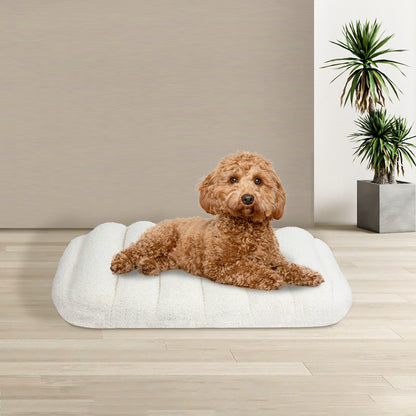 Pawz S Size Orthopedic Dog Bed with Sherpa Plush Removable Cover in White-1919892817208020998