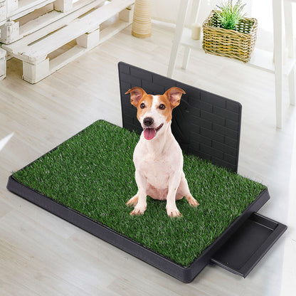 PaWz Indoor Dog Pet Grass Potty Training L-1910112970382381062
