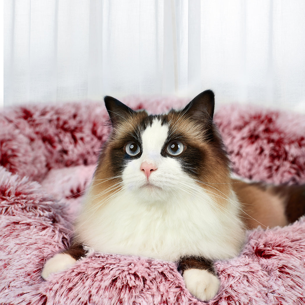 PaWz Pet Bed Memory Foam Dog Donut Pink X-Large-1910112491321561094