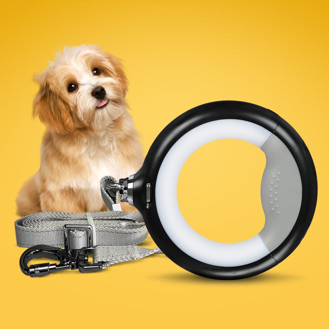 PaWz LED Dog Leash Lead Walking Rope Black-1910112481217482758