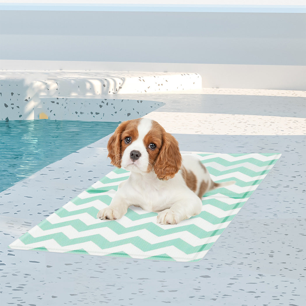 Pawz Pet Cooling Mat S Green-1910112256960630790