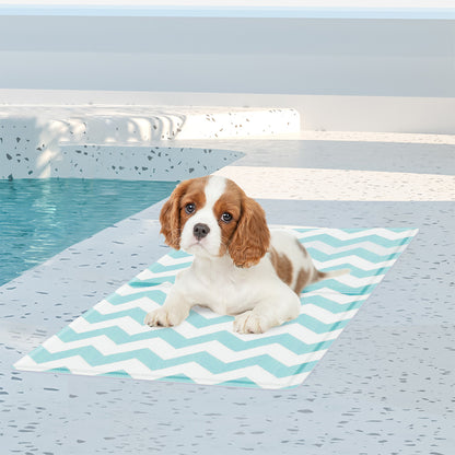 Pawz Pet Cooling Mat S Blue-1910112256637669382