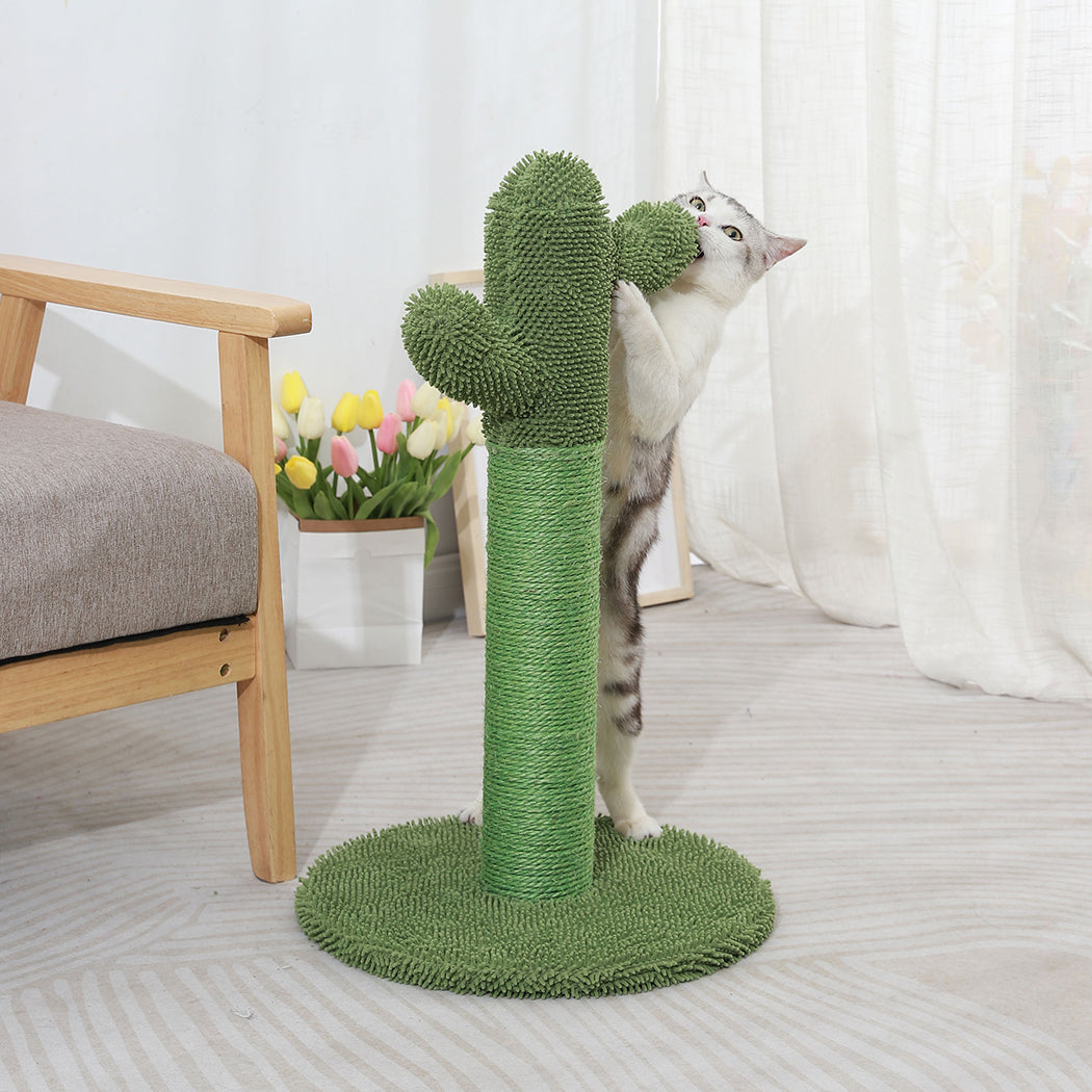 Cactus Cat Scratching Posts Pole Tree-1910112970709536774