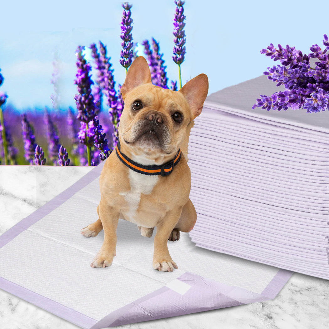 PaWz 100x Pet Dog Toilet Training Pad-1910112484946219014