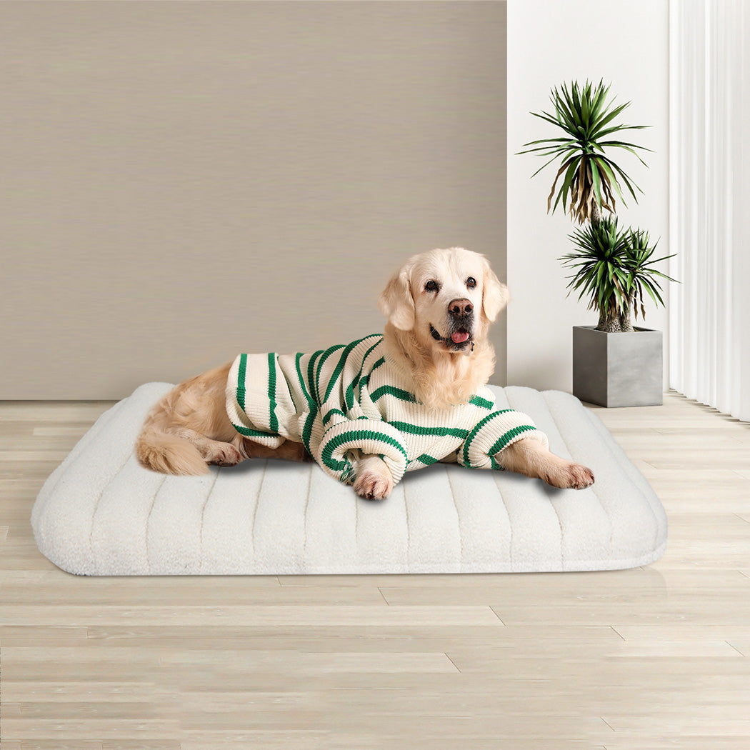 Pawz L Size Orthopedic Dog Bed with Sherpa Plush Removable Cover in White-1919892816591458310