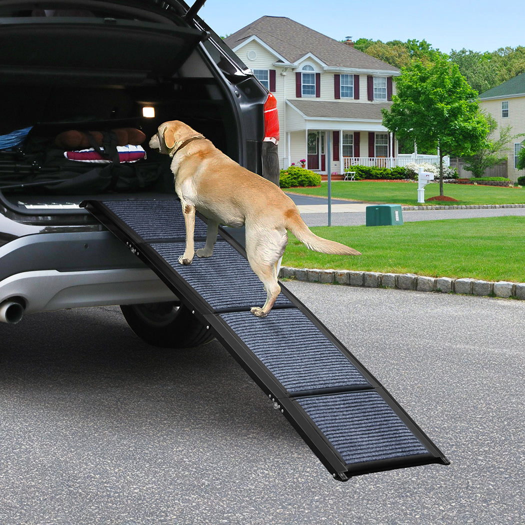 Pawz Dog Ramp-1910112249842896901