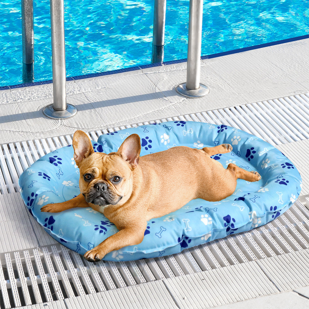 Pawz Pet Cooling Mat S Blue-1910112256797052934