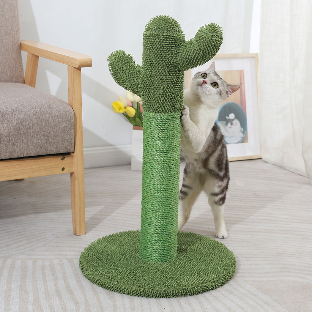 Cactus Cat Scratching Posts Pole Tree-1910112970709536775