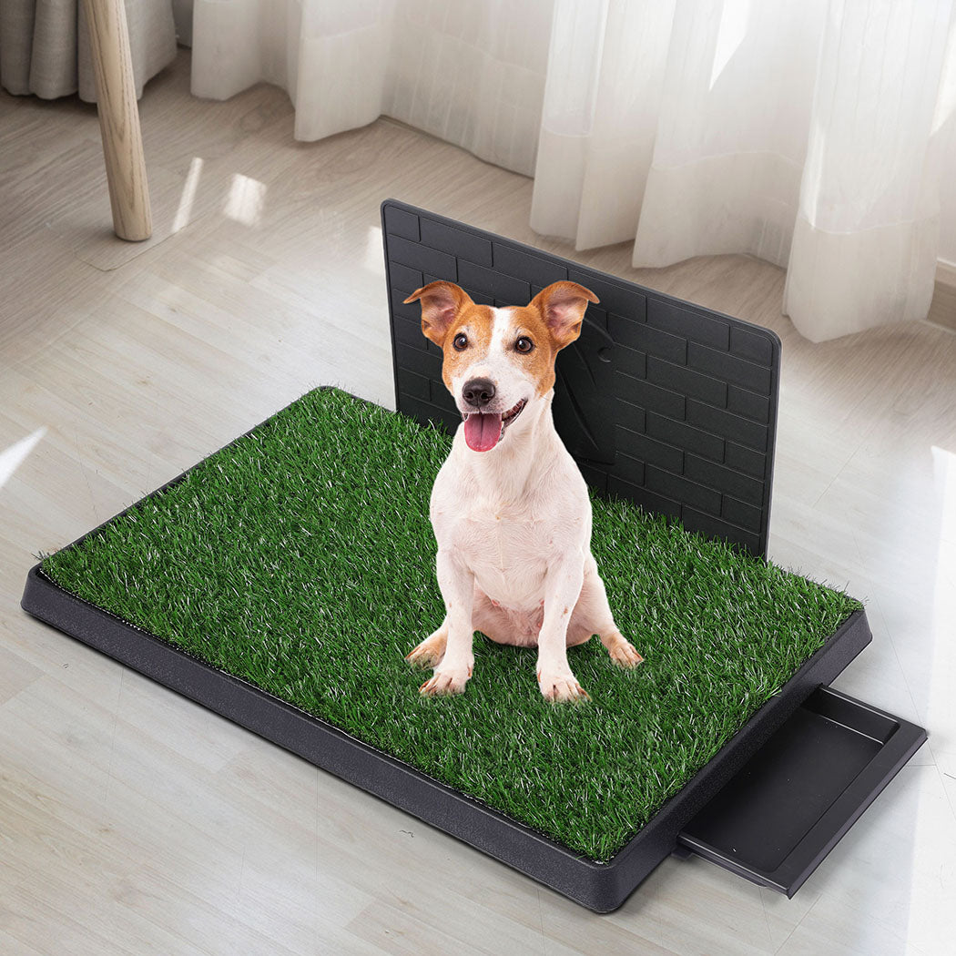 PaWz Indoor Dog Pet Grass Potty Training L-1910112970382381063