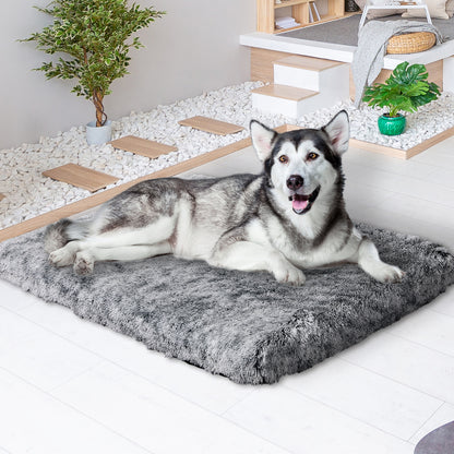 PaWz Dog Mat Pet Calming Bed Memory XXL Charcoal XX-Large-1910112464993914887
