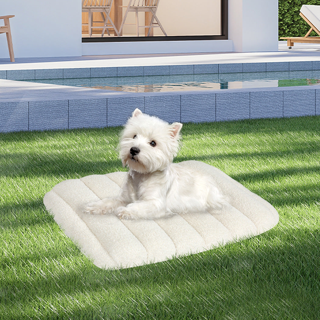 Pawz S Size Orthopedic Dog Bed with Sherpa Plush Removable Cover in White-1919892817208020999