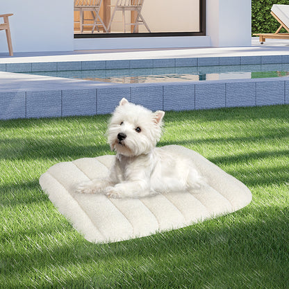 Pawz S Size Orthopedic Dog Bed with Sherpa Plush Removable Cover in White-1919892817208020999