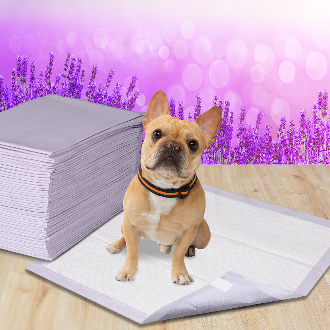 PaWz 100x Pet Dog Toilet Training Pad-1910112484946219015