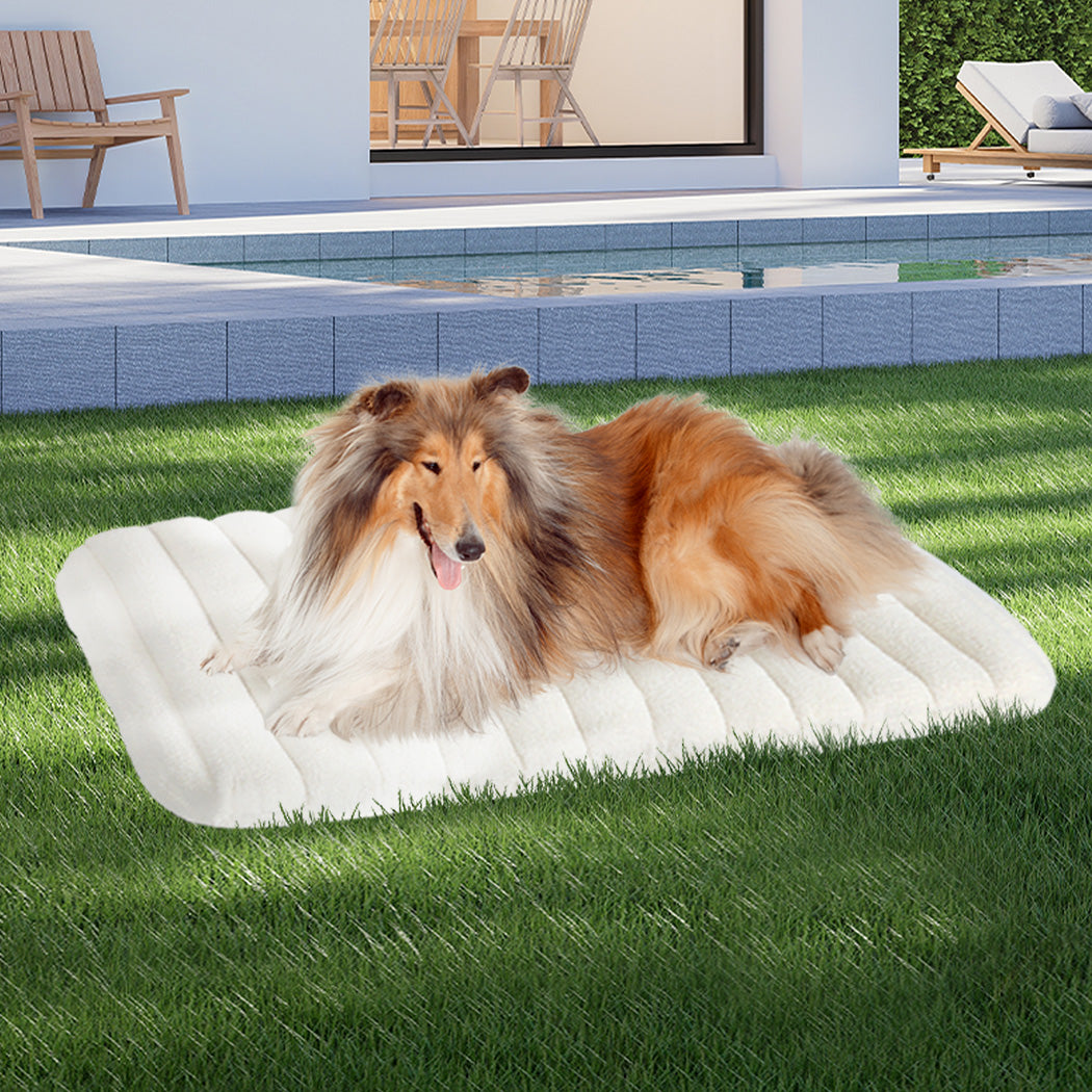 Pawz L Size Orthopedic Dog Bed with Sherpa Plush Removable Cover in White-1919892816591458311