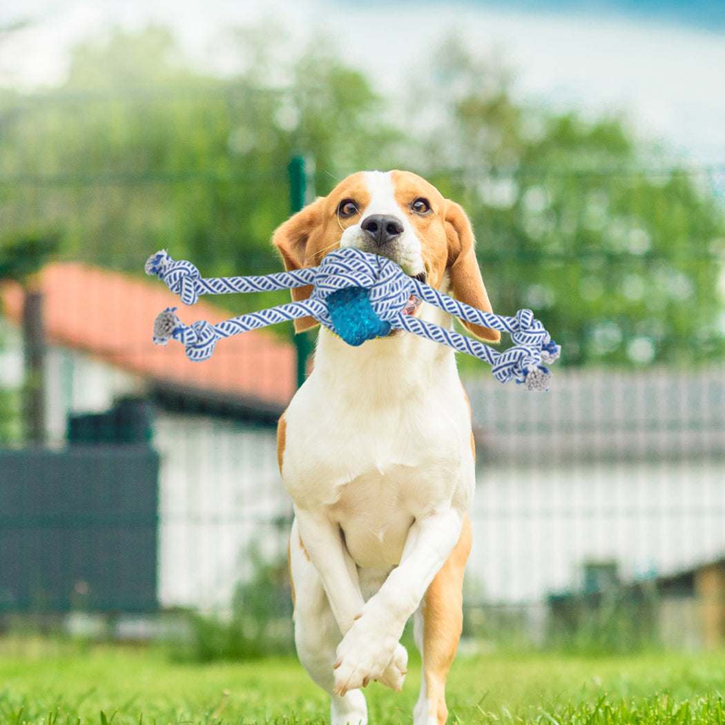 PaWz Dog Chew Toys Squeaky Puppy Pet-1910112482287030279
