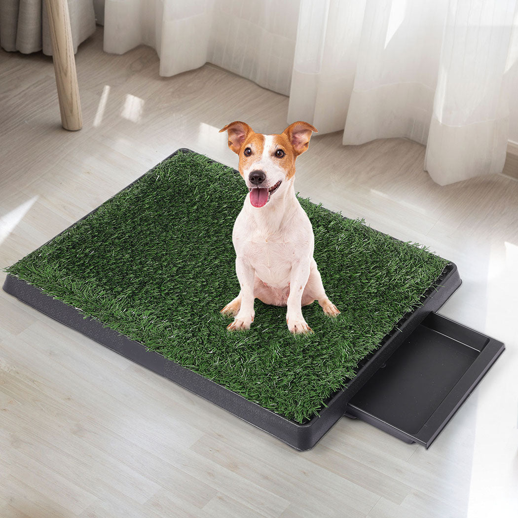 PaWz Indoor Dog Pet Grass Potty Training-1910112970550153223