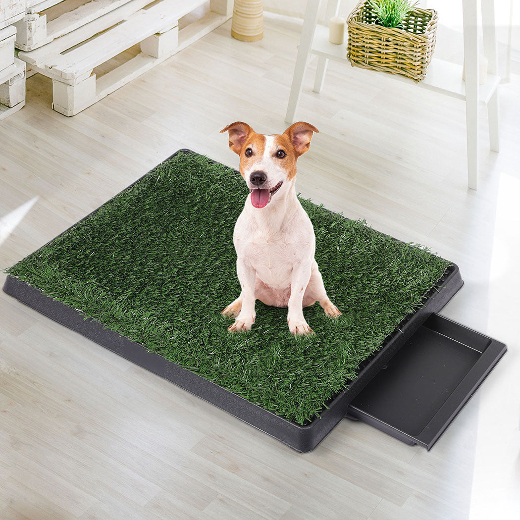 PaWz Indoor Dog Pet Grass Potty Training-1910112970550153222