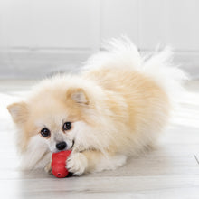 Kong Classic Toy Small